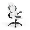 Gaming Chairs Staples Emerge Vortex Bonded Leather Gaming Chair, White And Gray (52503) 1 Gaming Chairs Staples Emerge Vortex Bonded Leather Gaming Chair, White And Gray (52503) -Ready America Shop 78354085 3A0E 485D B2864F25B7E71972 s7