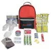 Ready America Emergency Kits Ready America Grab 'N Go 2 Person 3 Days Backpack Tornado Emergency Kit (70287)
