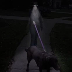 Specialty Lighting Wakeman Outdoors LED Head Lamp Black (M570018) -Ready America Shop sp14172095 s7