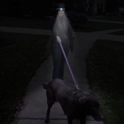 Specialty Lighting Wakeman Outdoors LED Head Lamp Blue (M570015) -Ready America Shop sp14172128 s7